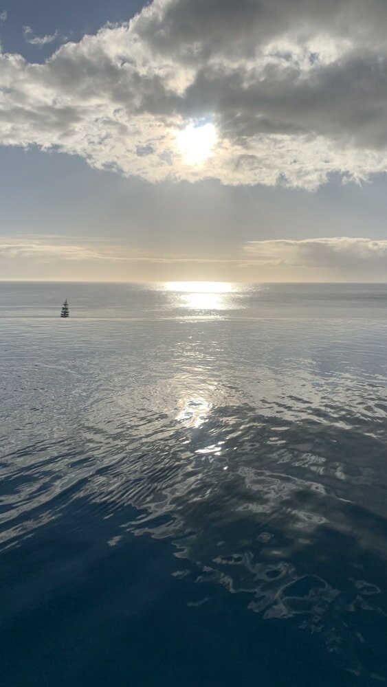 Фото Residence William French