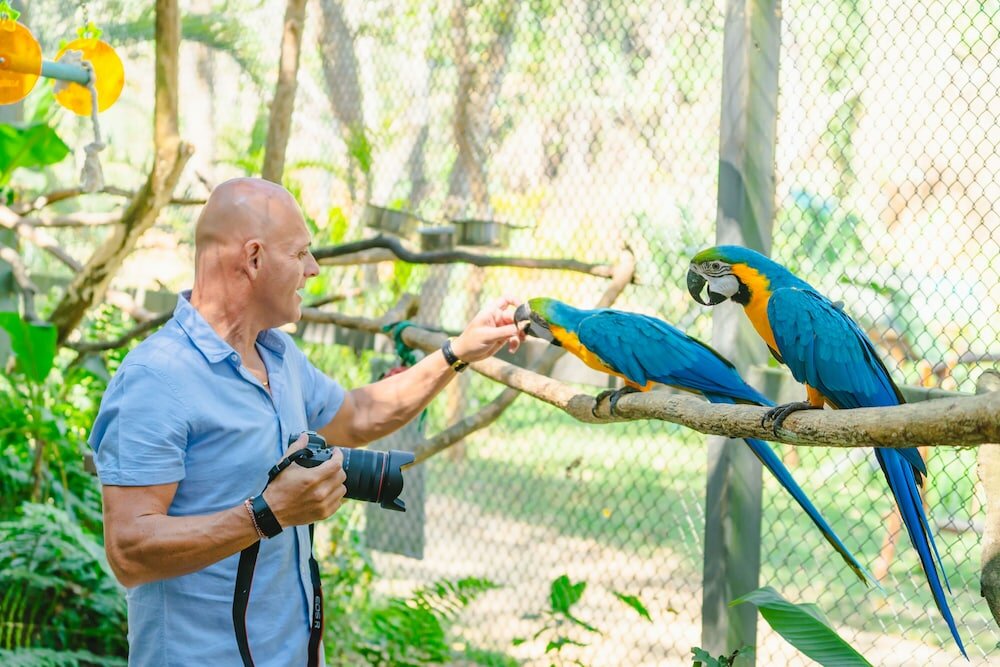 Фото Katiliya Mountain Resort & SPA