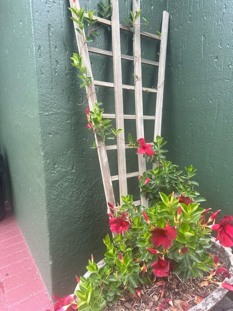 Фото Dara Guest House