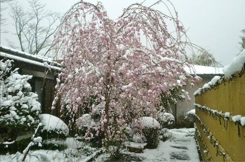 Внешний вид отеля Fuji-Hakone Guest House в Хаконе, фото 5