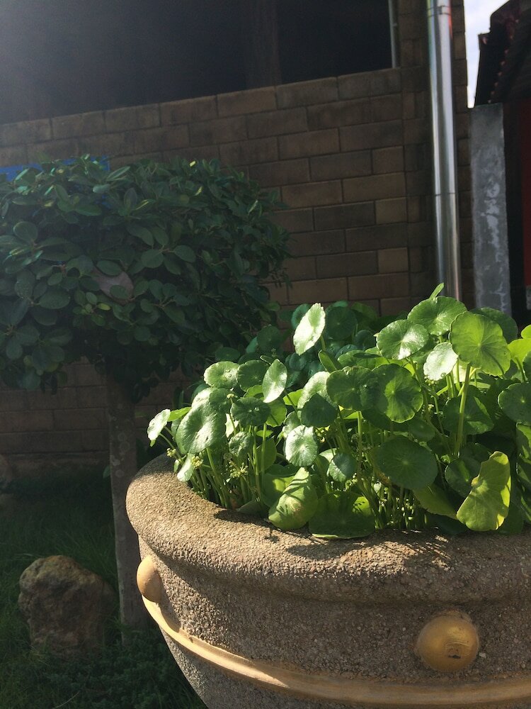 Фото J. Holiday Inn