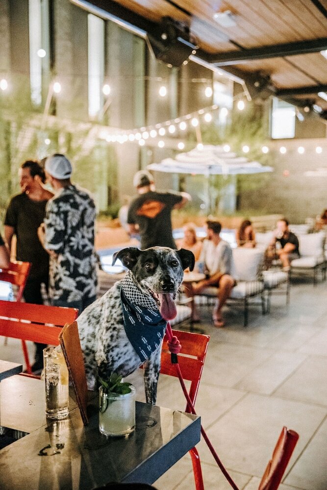 Фото Arrive Austin