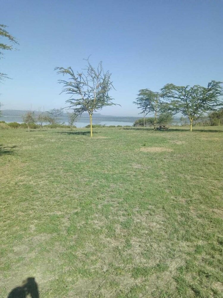 Фото Duara Flamingo Camp