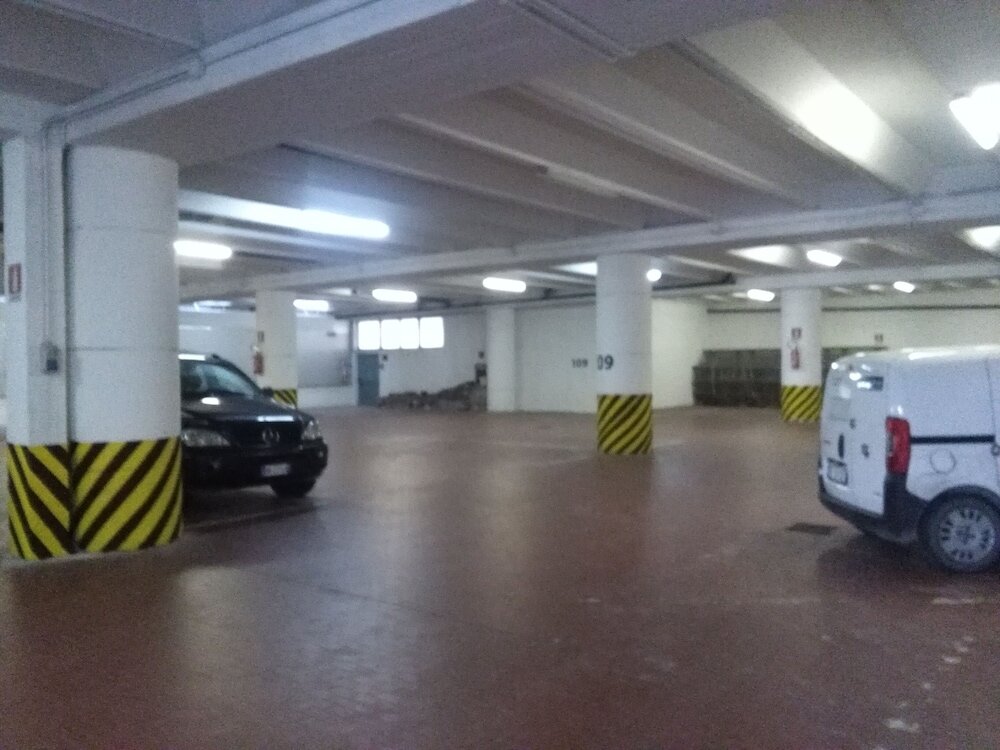 Фото Hotel Flora