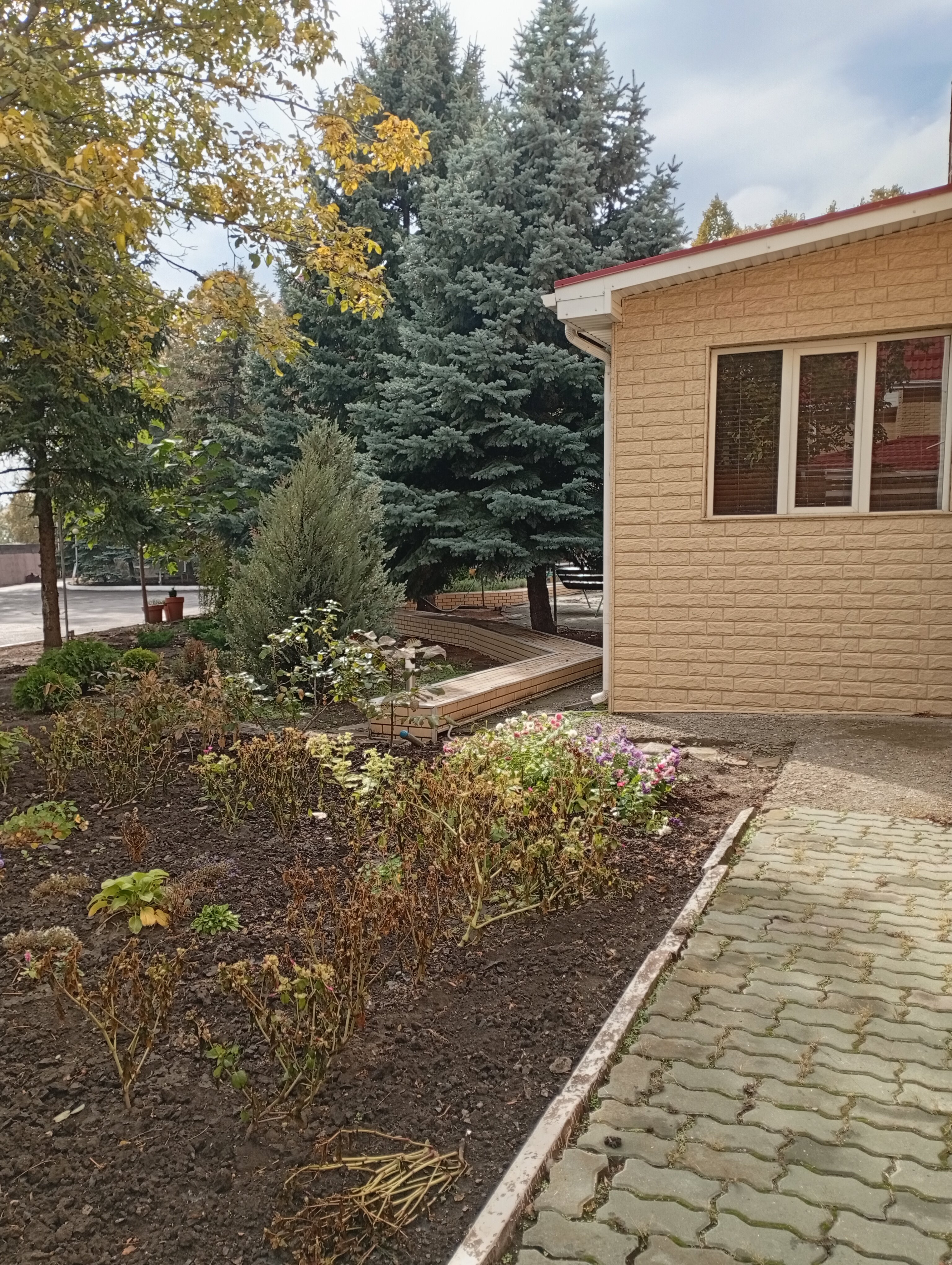 Фото Оптимист