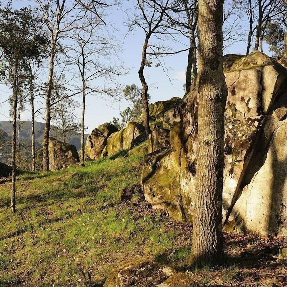 Фото Quinta do Pomar Maior