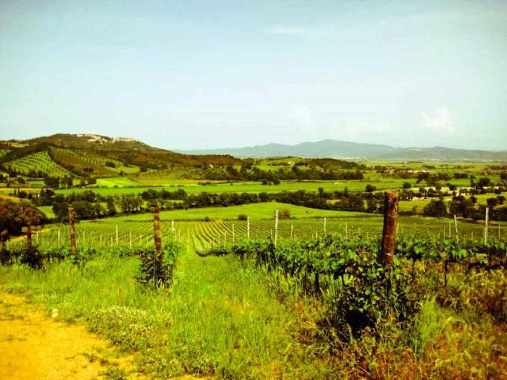 Фото Montebelli Agriturismo & Country Hotel