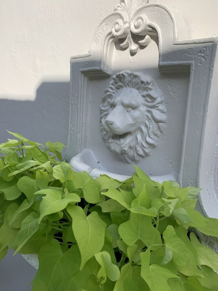 Фото Tiana Beach Inn