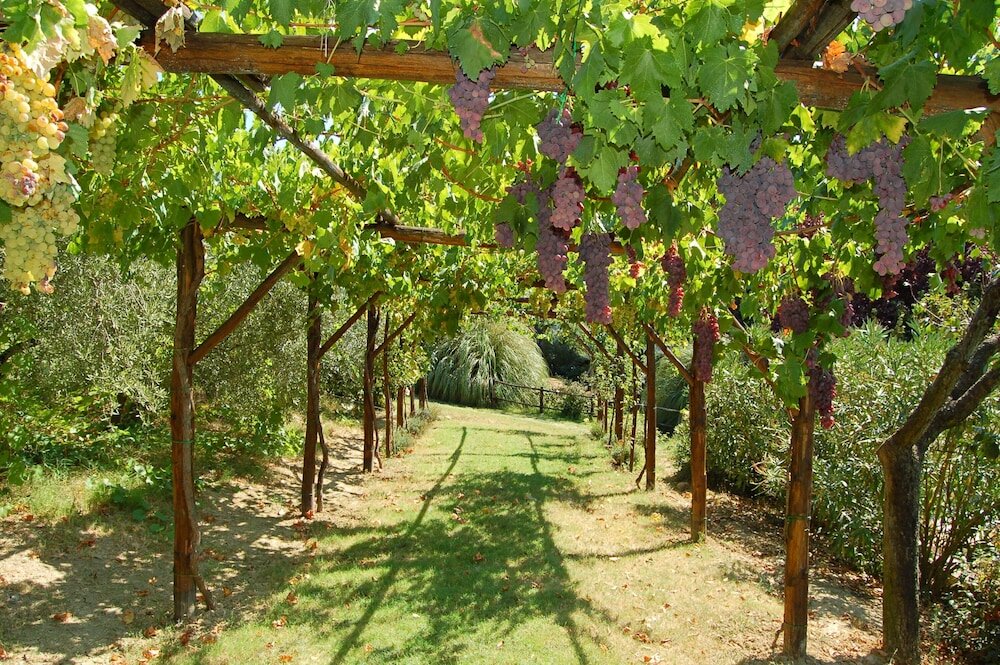 Фото Agriturismo Casale dei Frontini