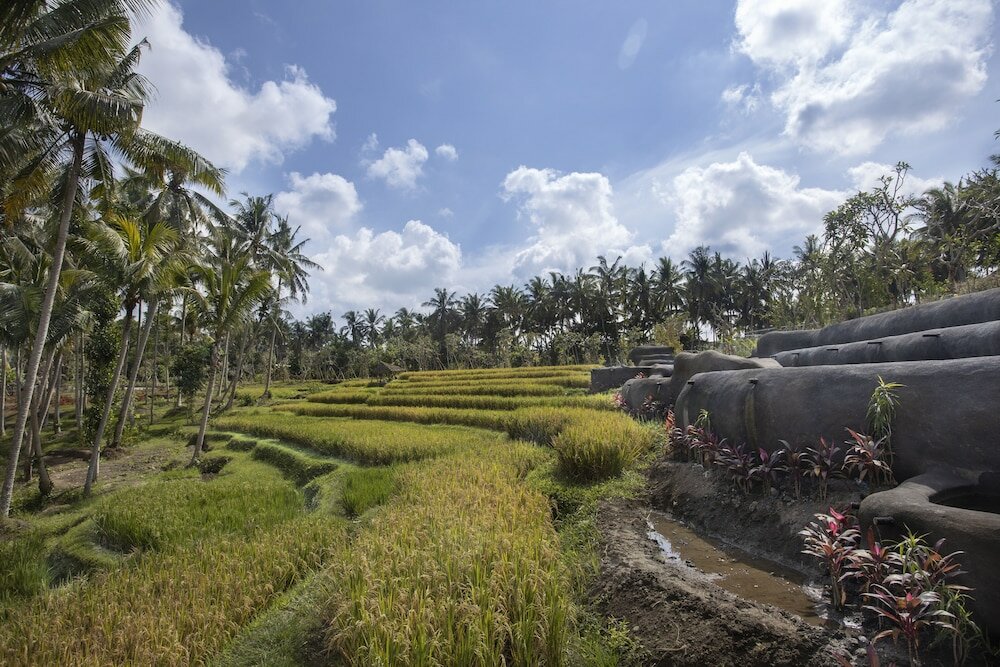 Фото Green Field Resort