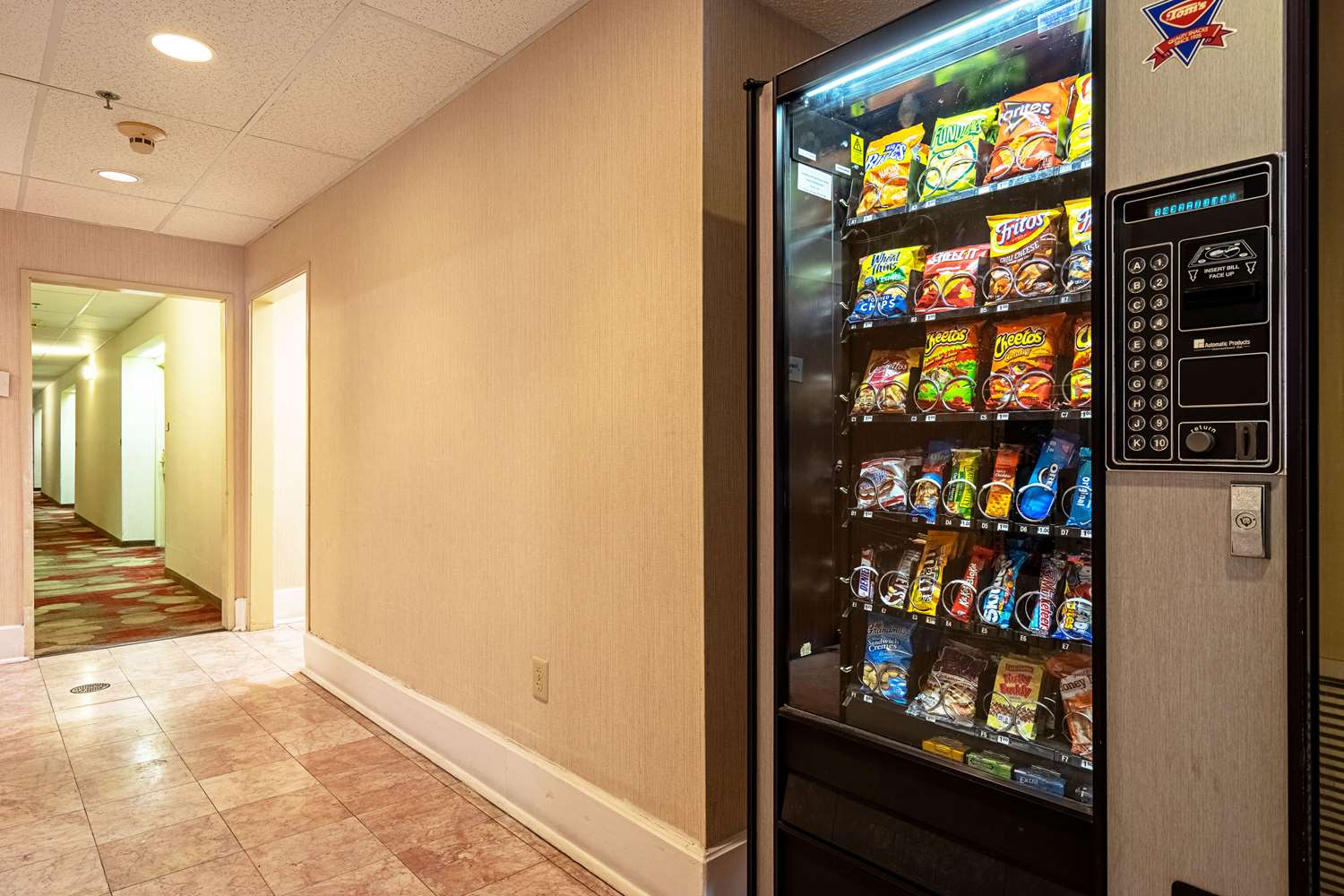 Фото Quality Suites