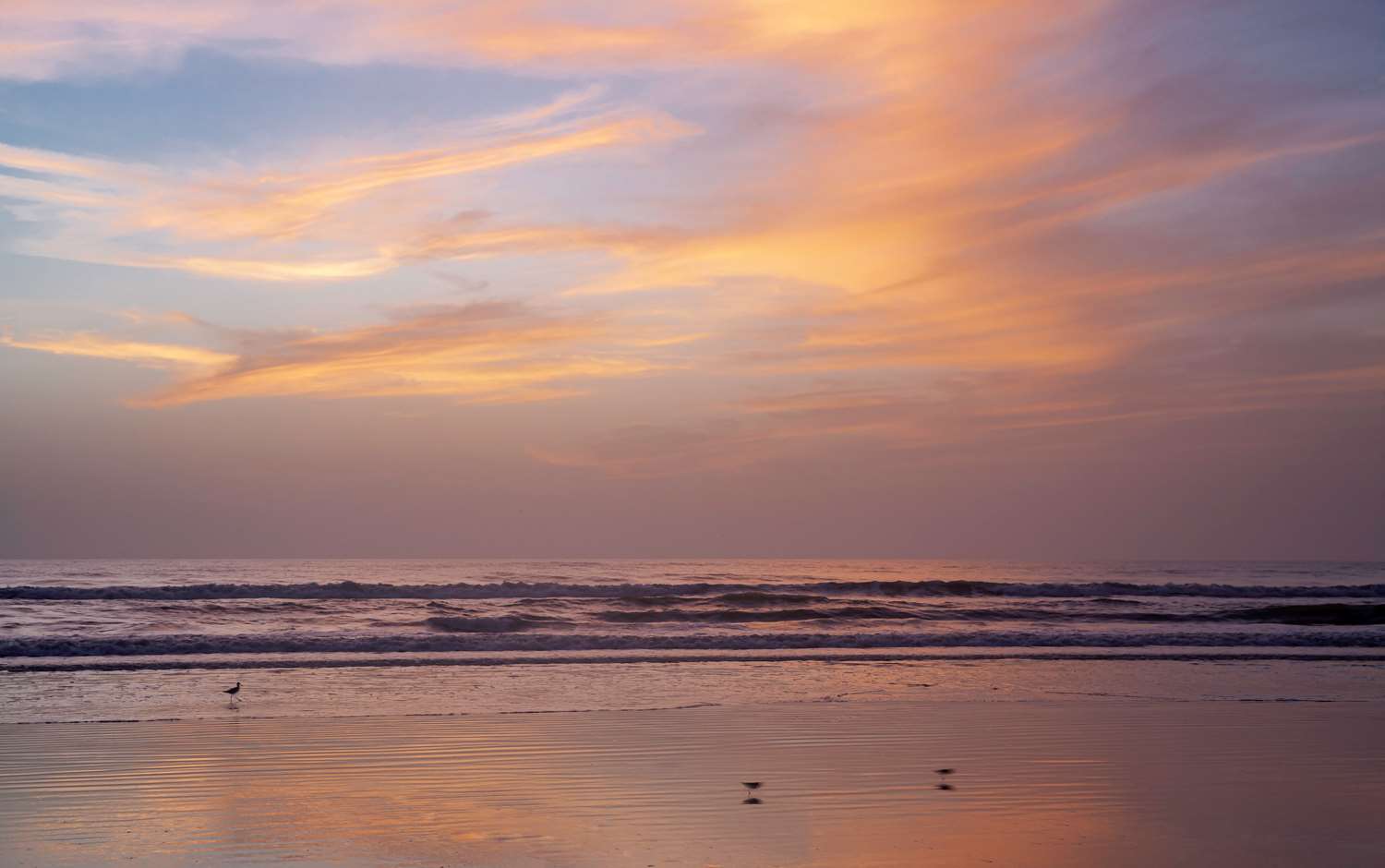 Фото Best Western New Smyrna Beach Hotel & Suites