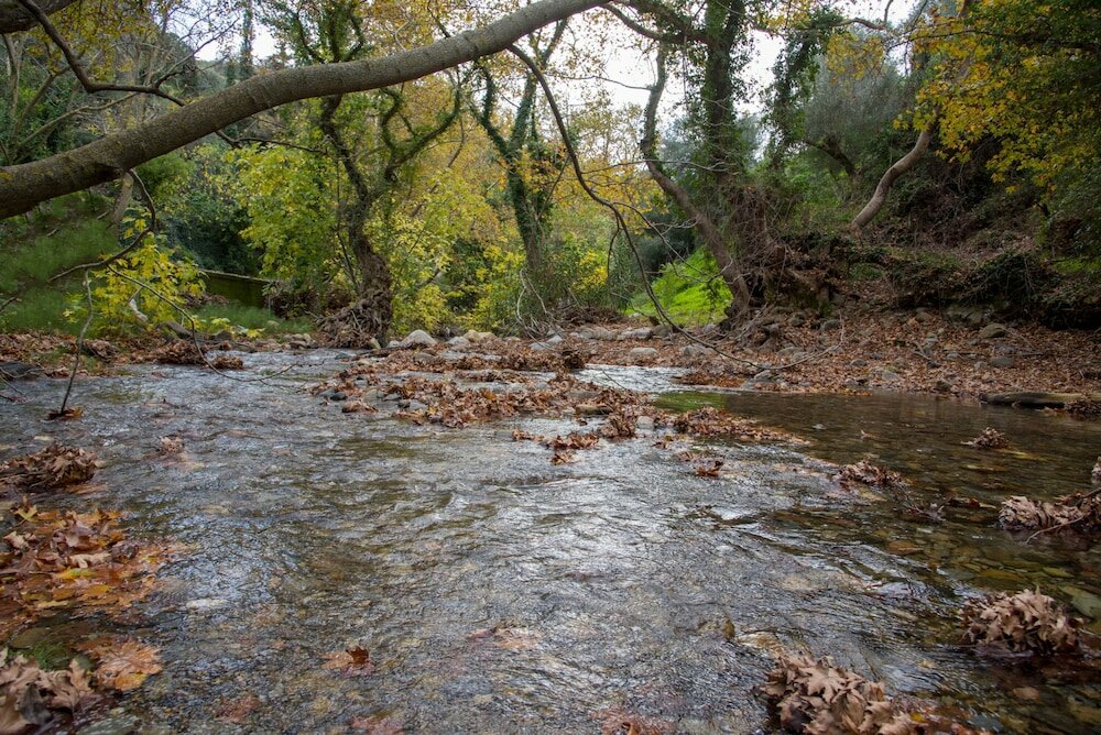 Фото Serenity River Villa