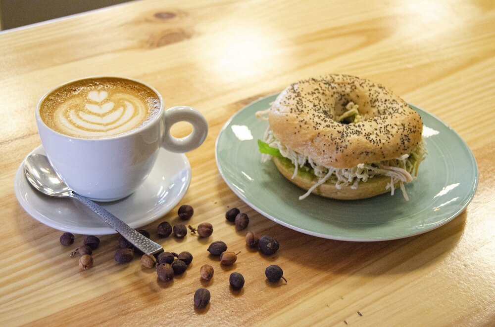 Фото Hotel Catalina Plaza