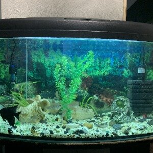 Фото Гуд Найт Румс энд Хостел