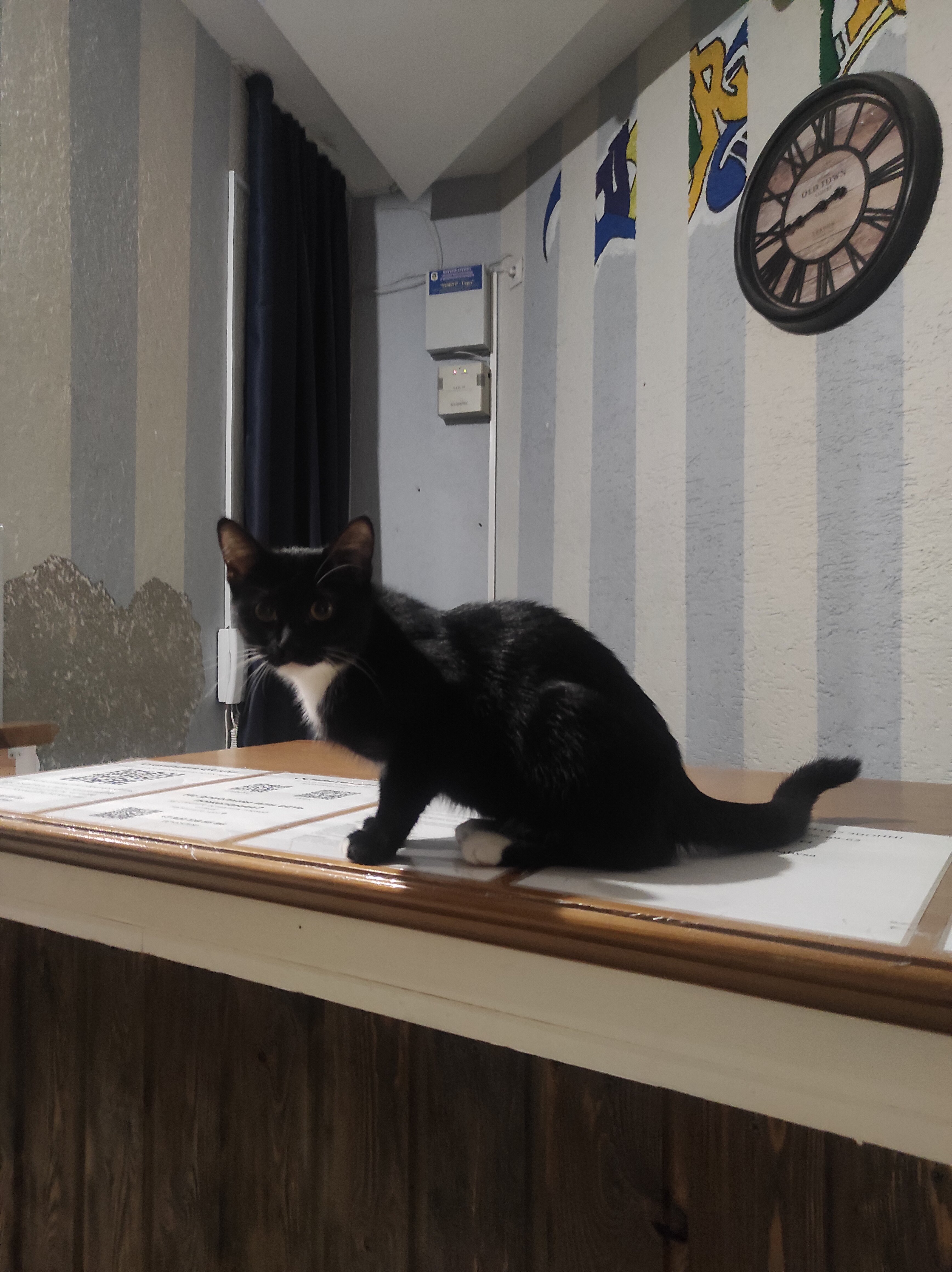 Фото В гостях у бабуsи