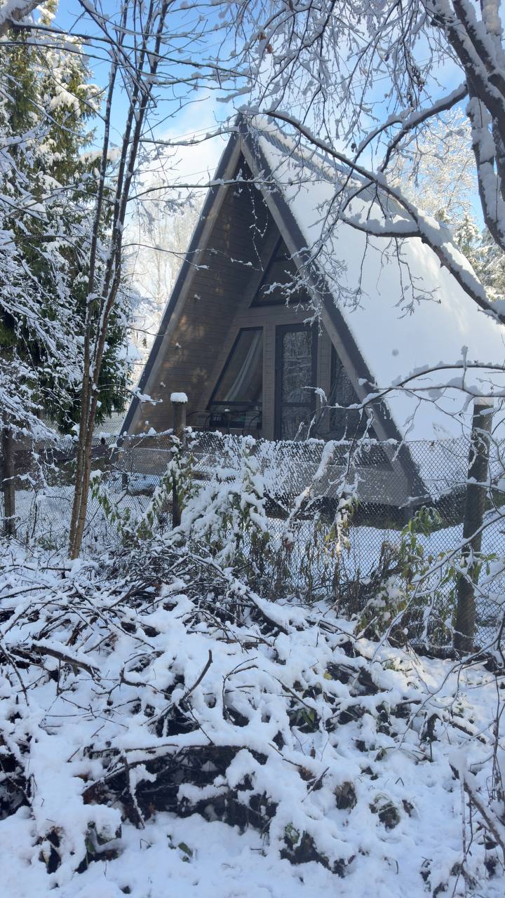 Фото Лисичкин дом