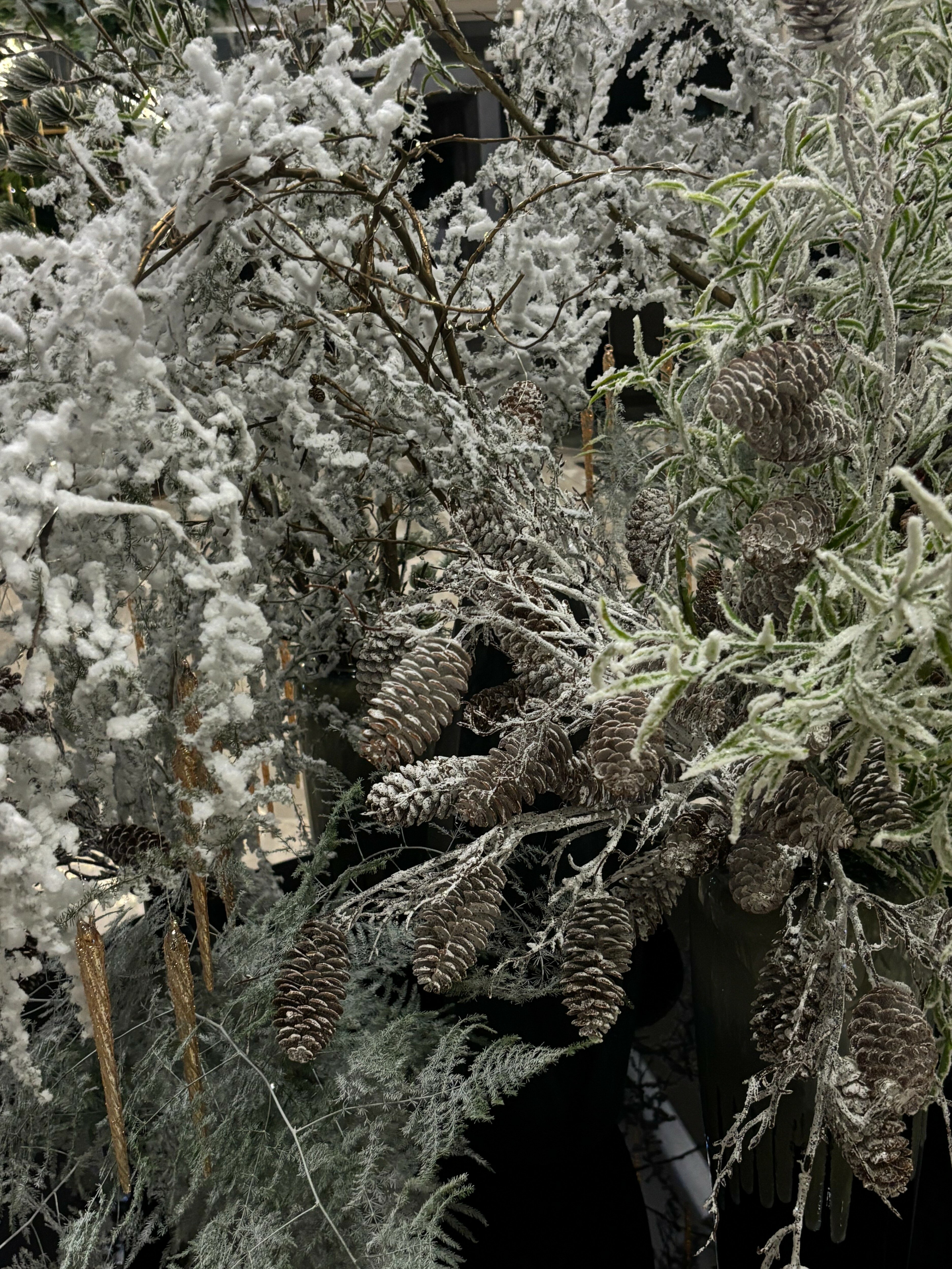 Фото Костас