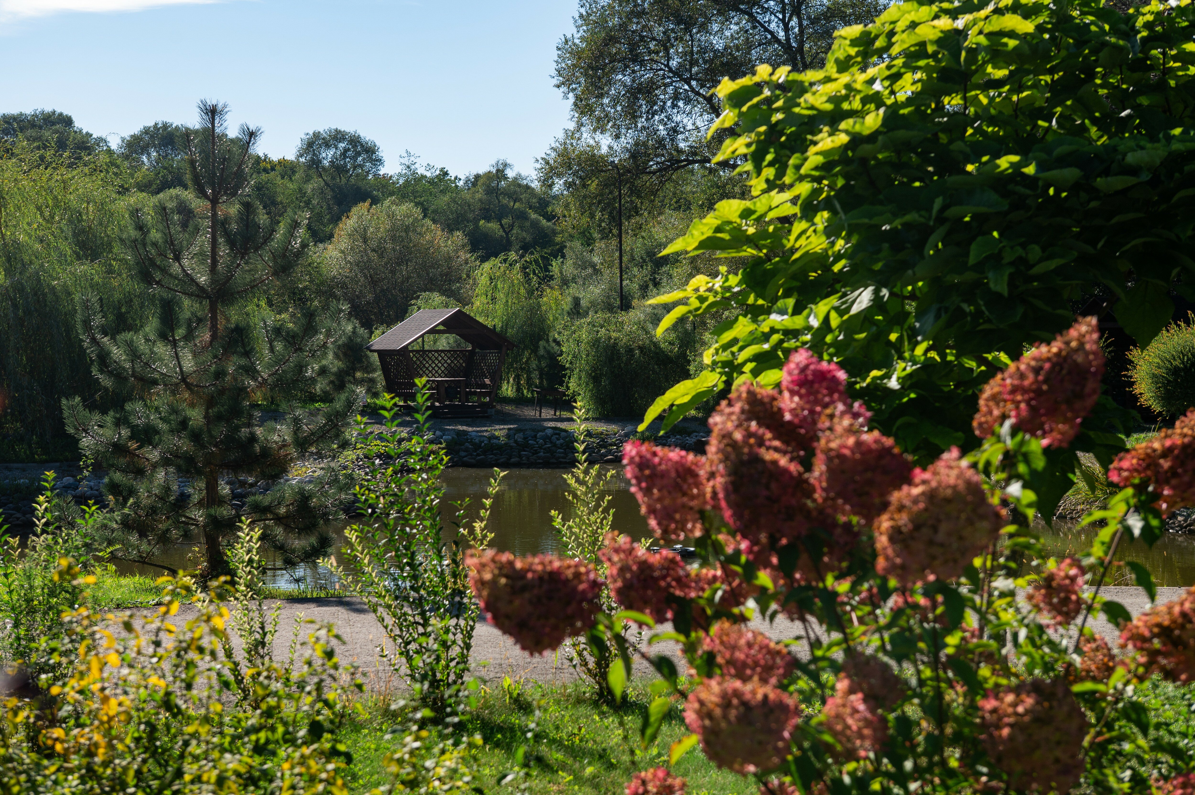 Фото Павлова поляна