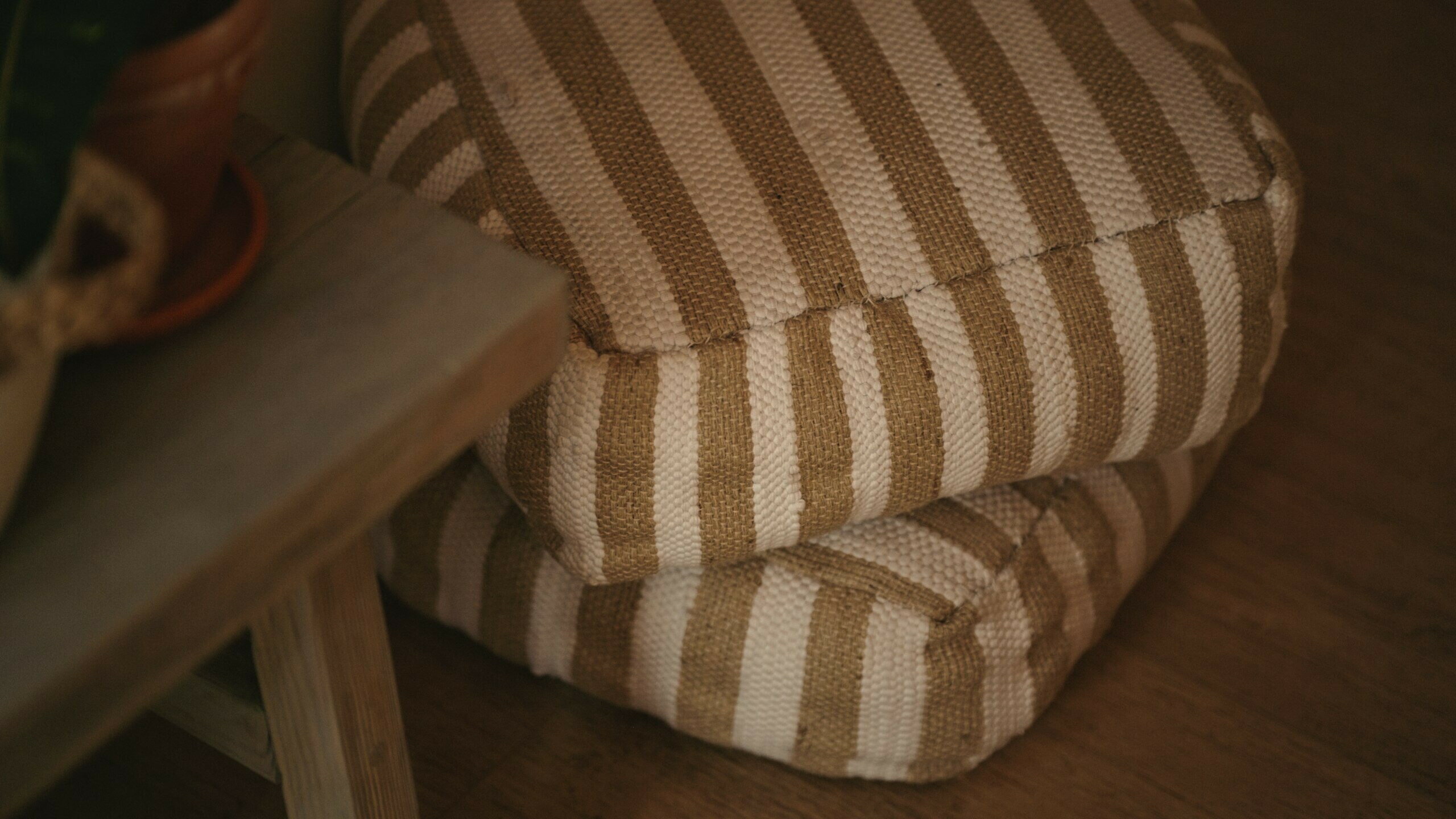 Фото Место под соснами