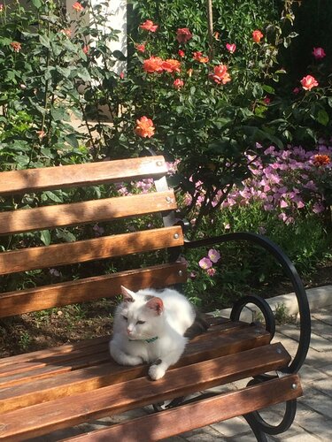 Гостевой дом Гостевой дом Прекрасная гавань в Черноморском