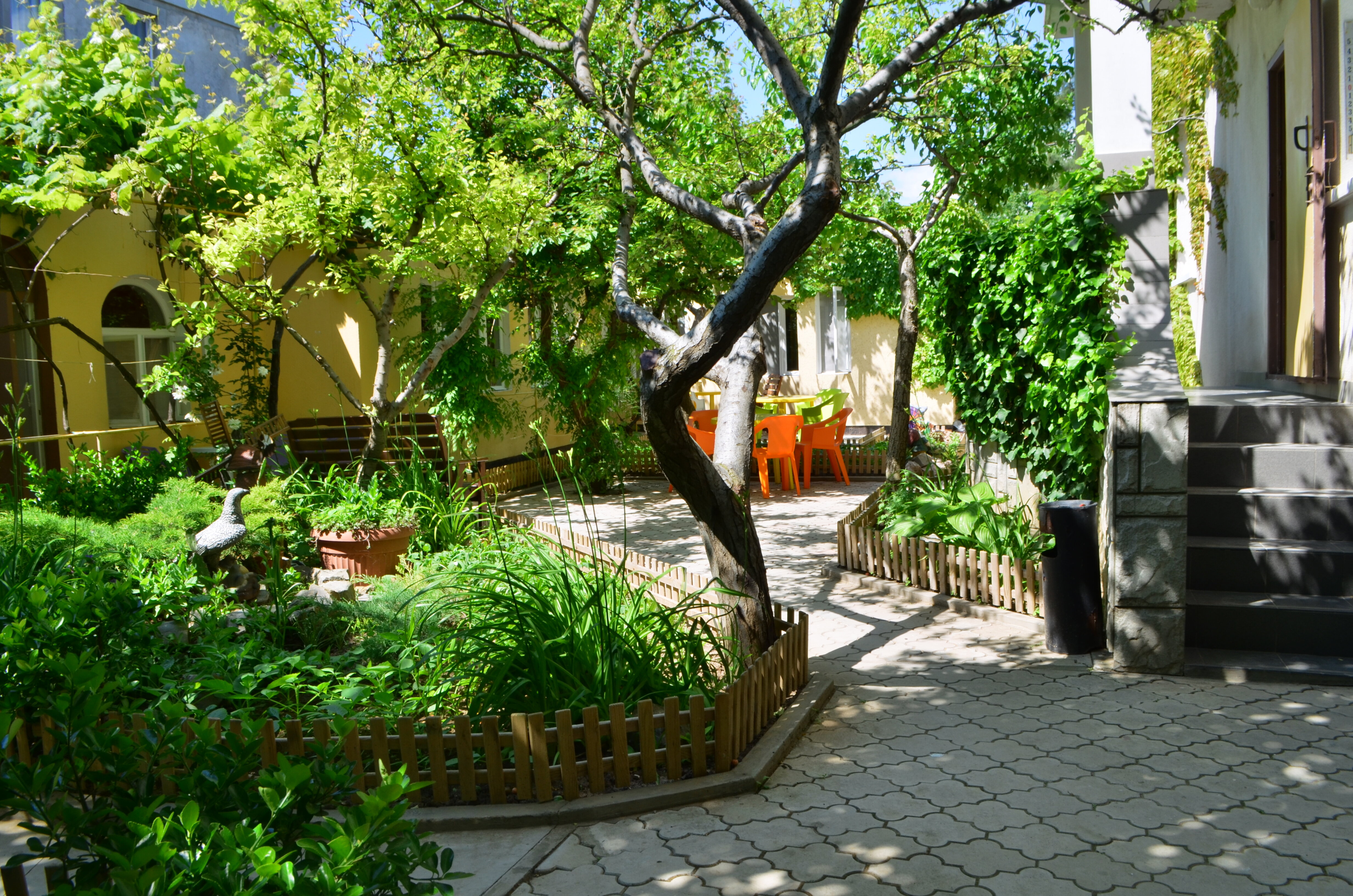 Фото Летний