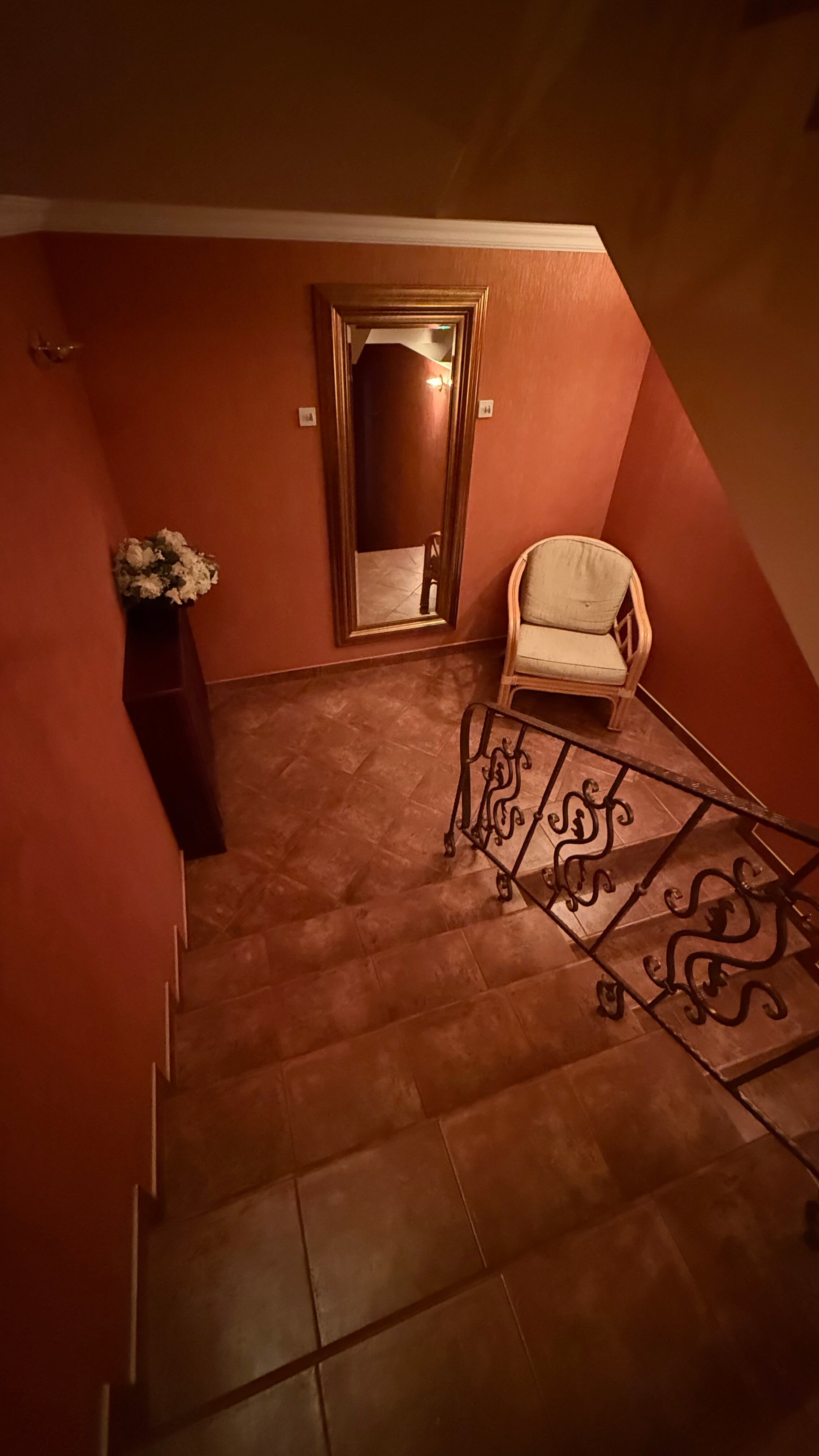 Фото Династия