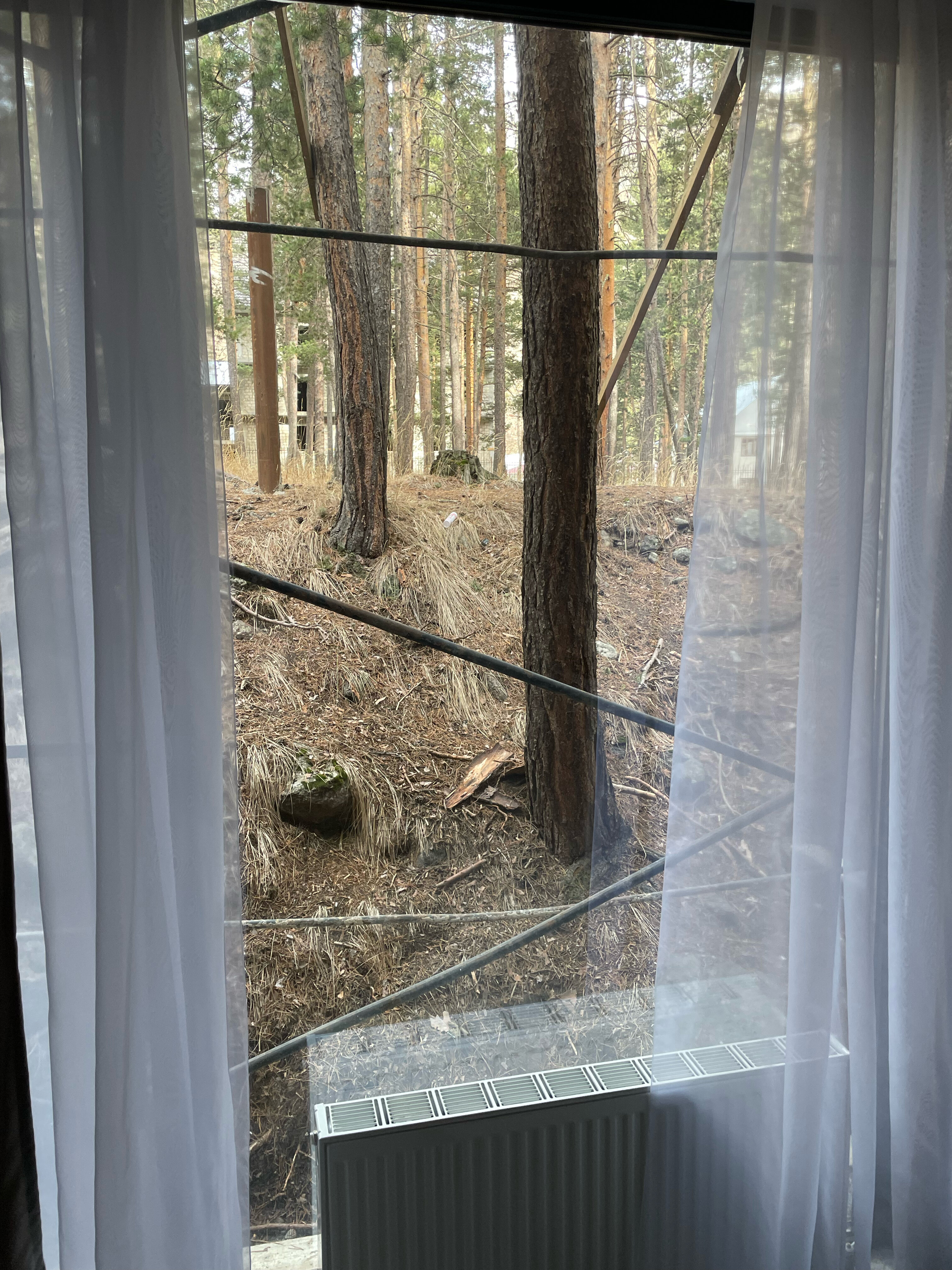 Фото 103888743761