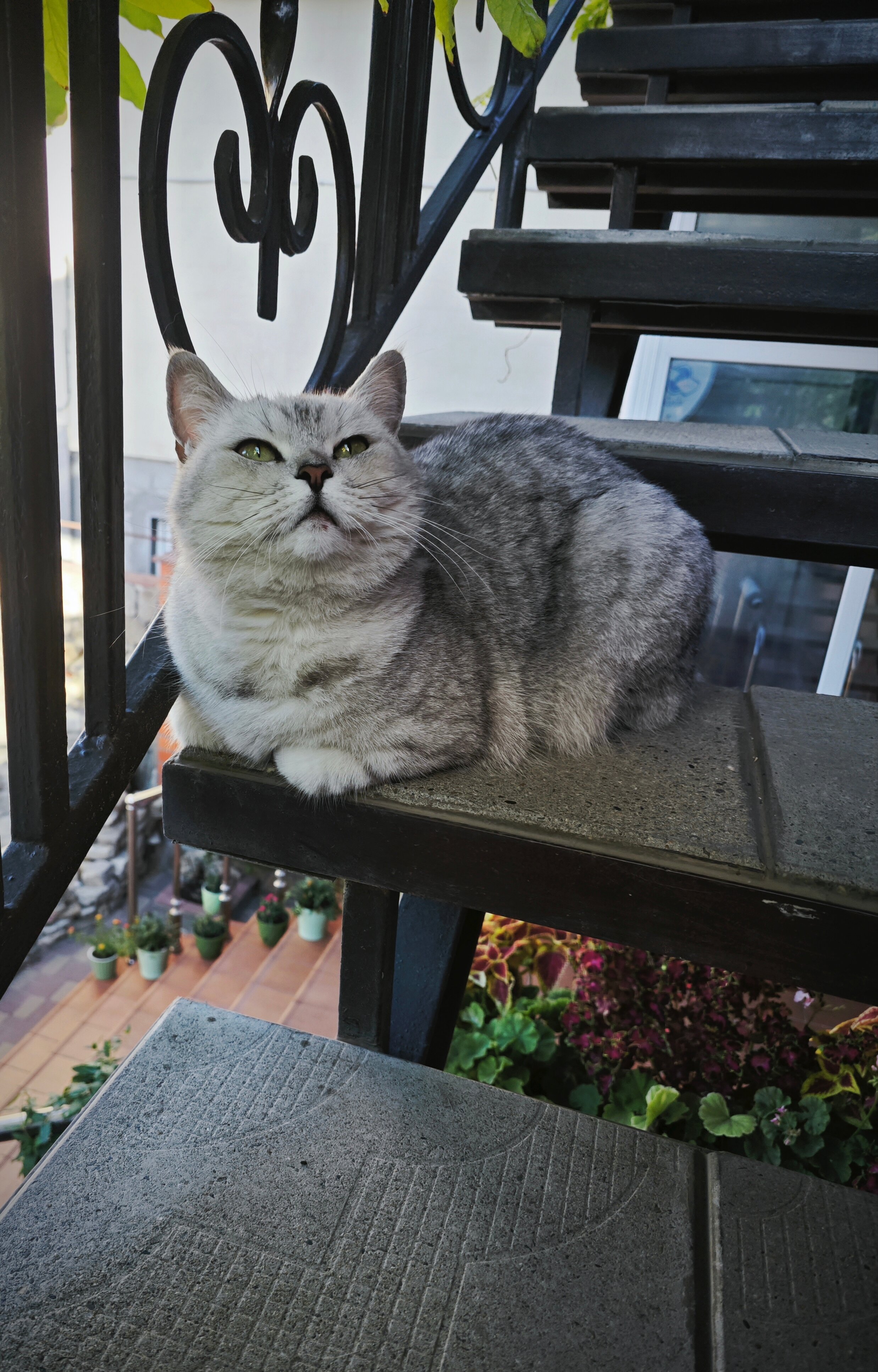 Фото Гостевой дом Ежевика