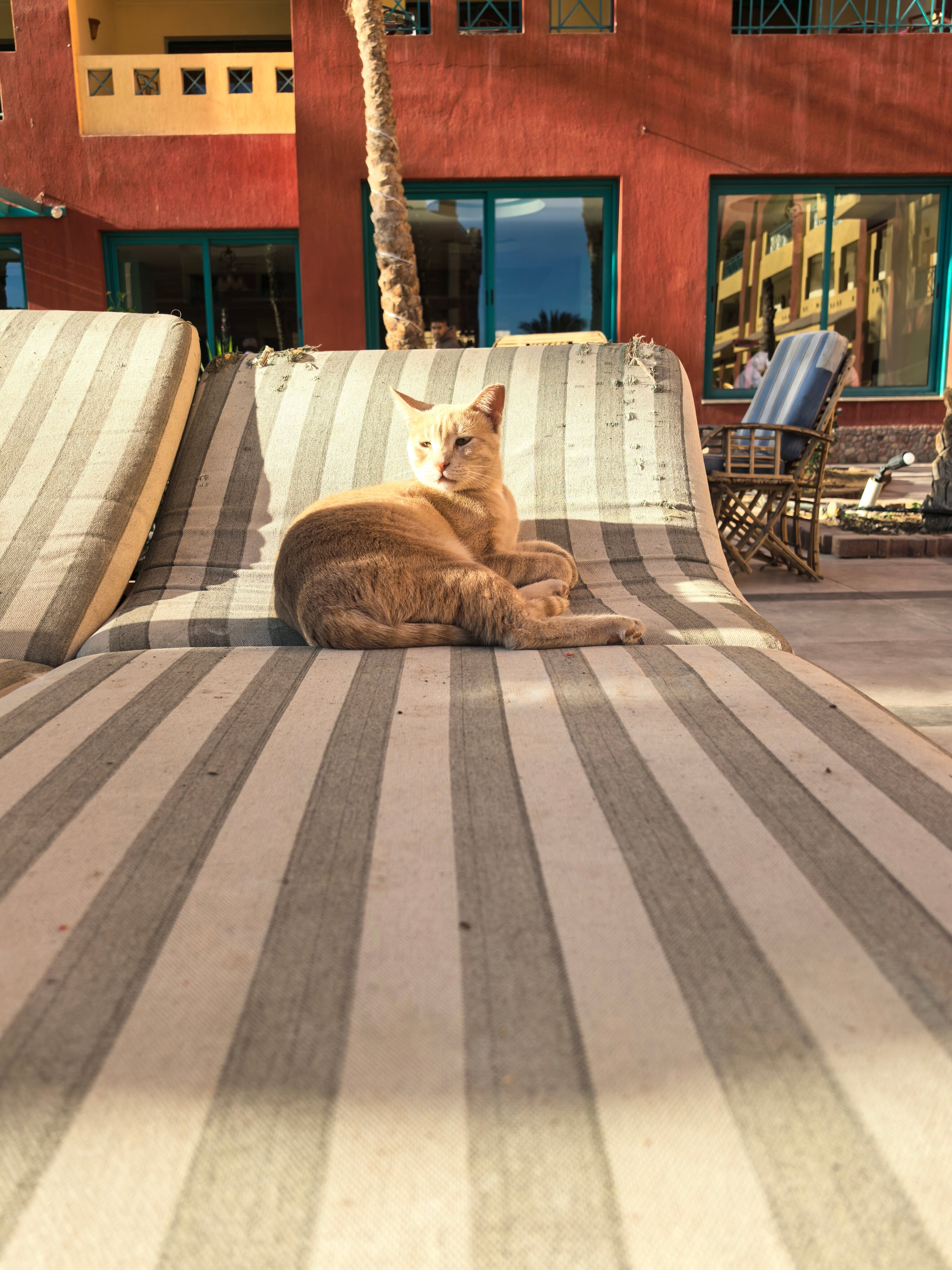 Фото Sun and Sea