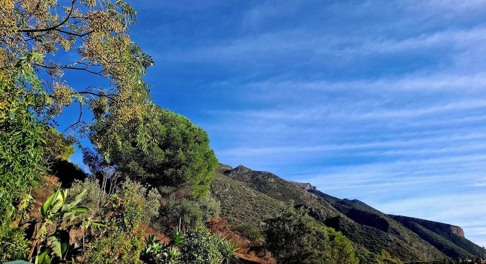 Фото Hotel Los Jarales