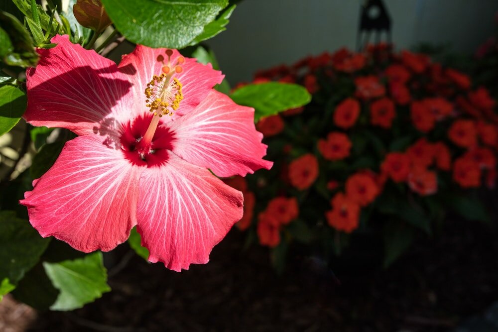 Фото Hotel St. Pierre