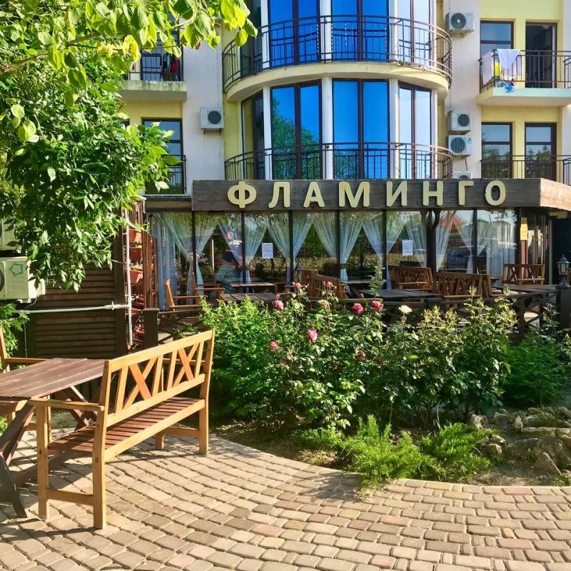 Фото Фламинго