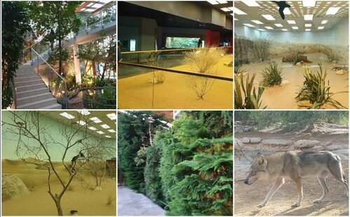 Гостиница DoubleTree by Hilton Sharjah Waterfront Hotel & Residences в Эмирате Шарджа