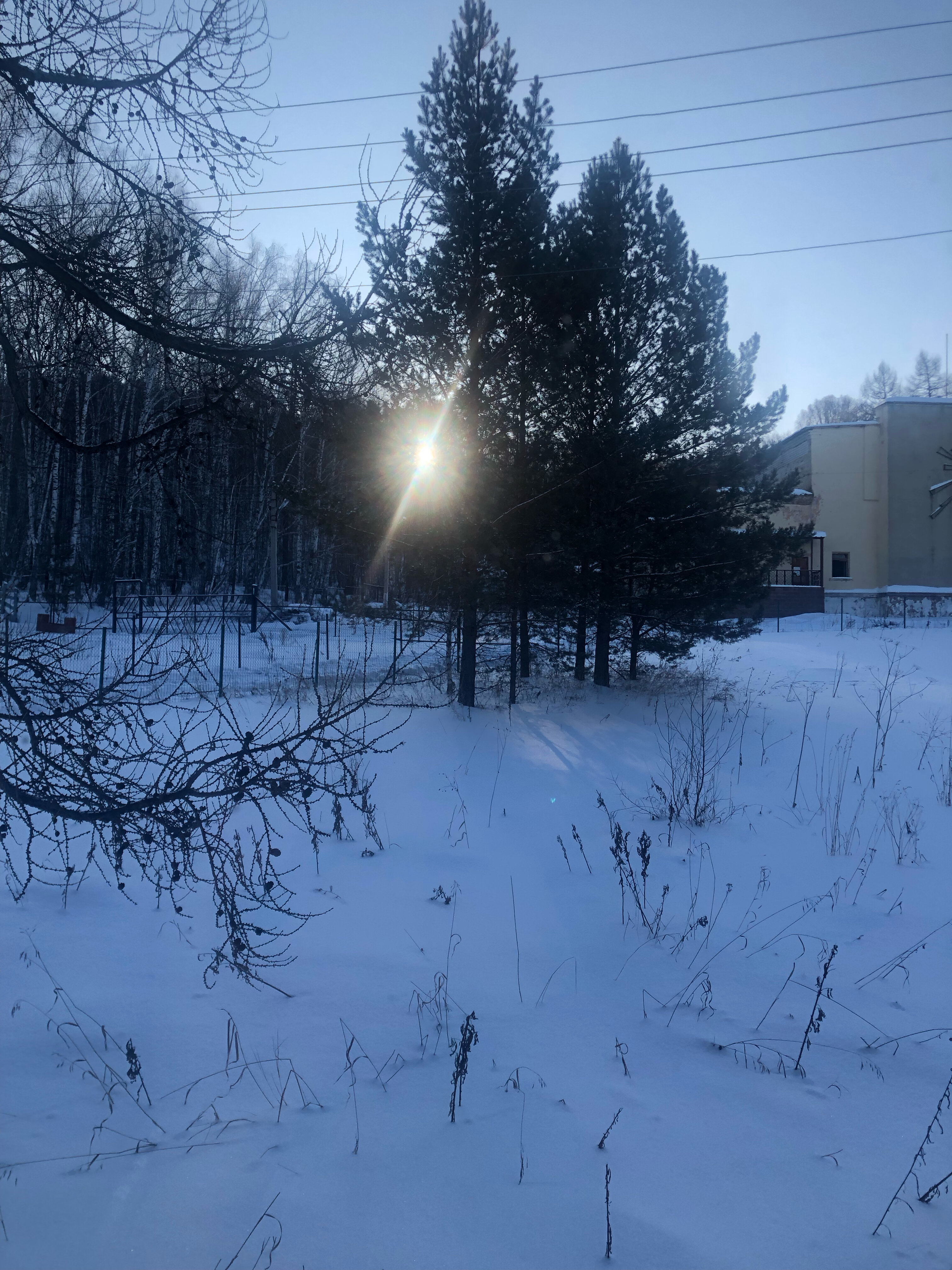 Фото Орленок