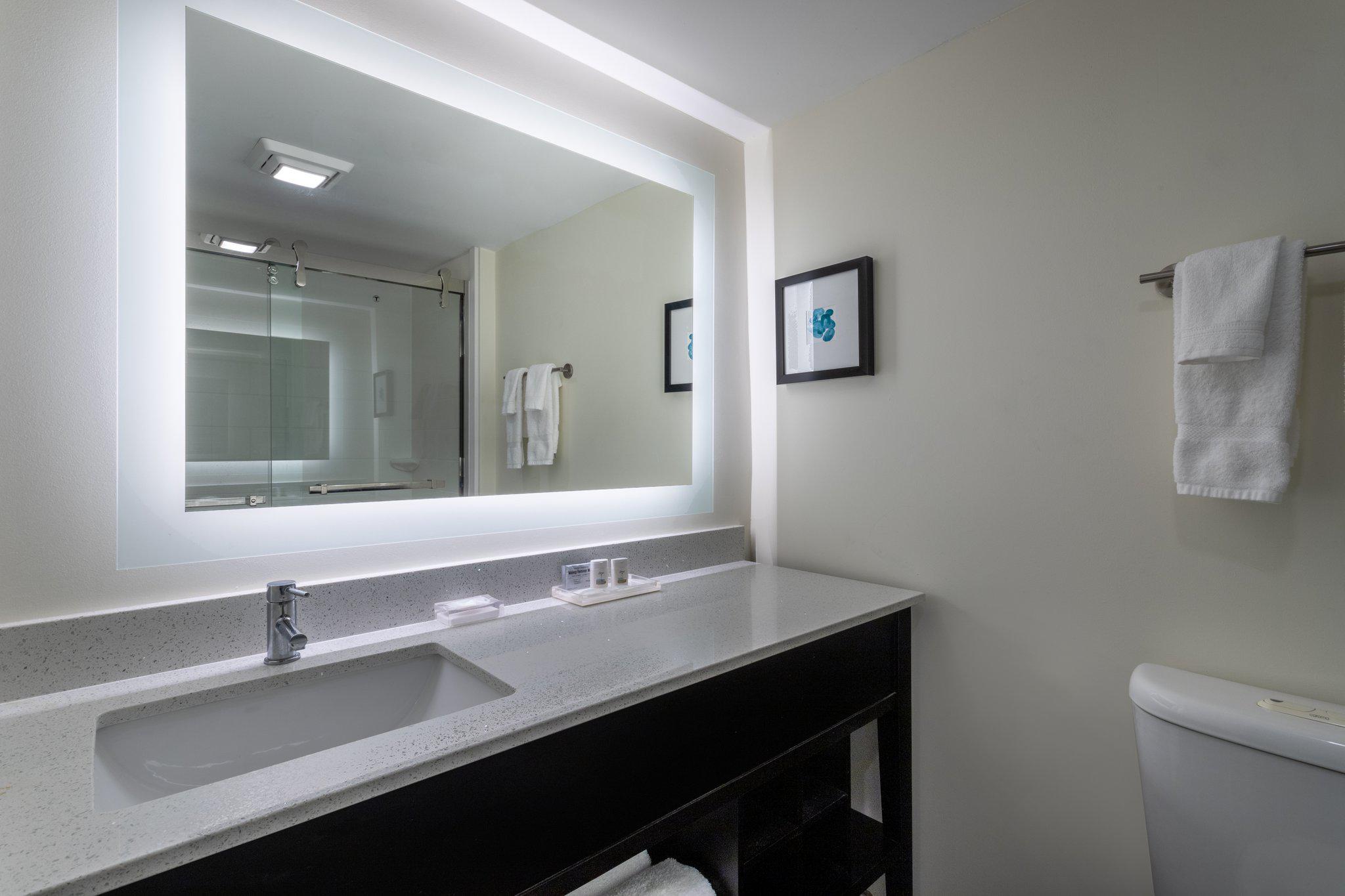Фото Holiday Inn Tampa North