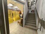 Odl (Poyarkova Street, 5) ، متجر أدوات بصرية