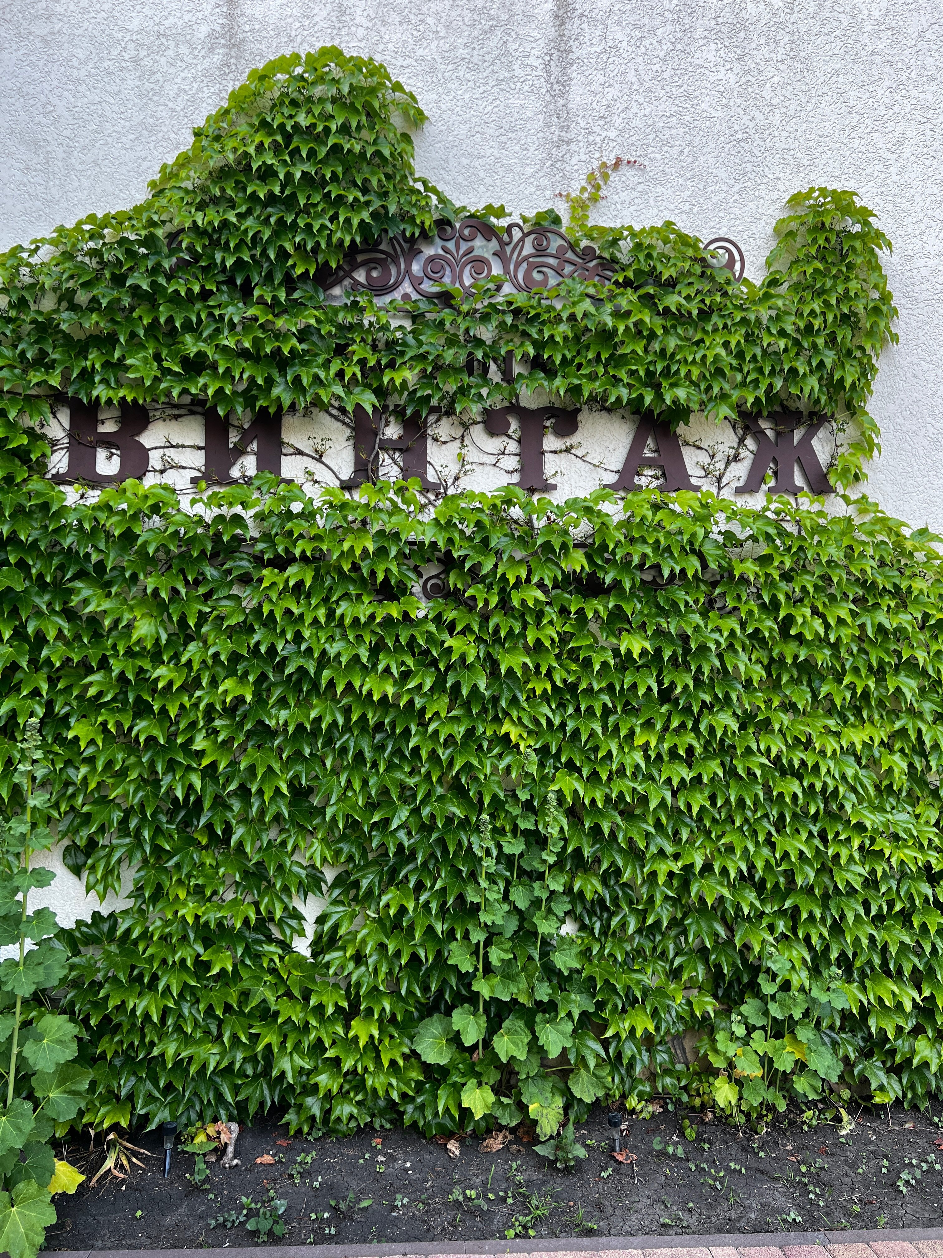 Фото Винтаж