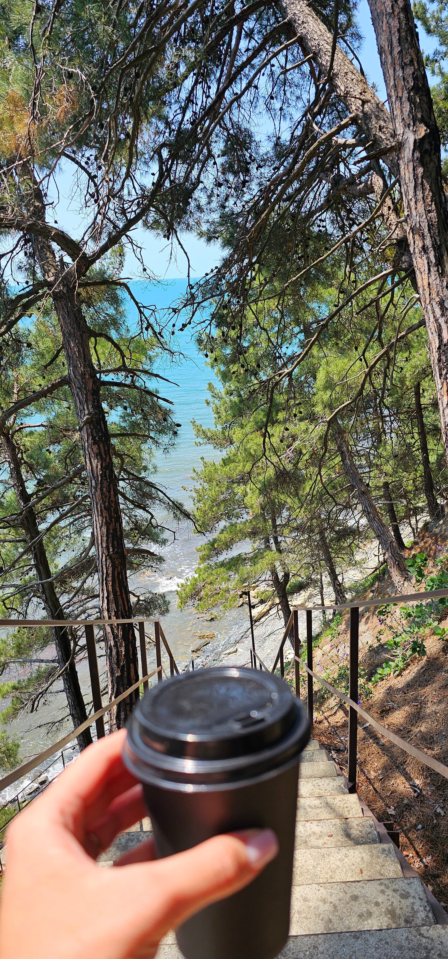 Фото Парк Инал