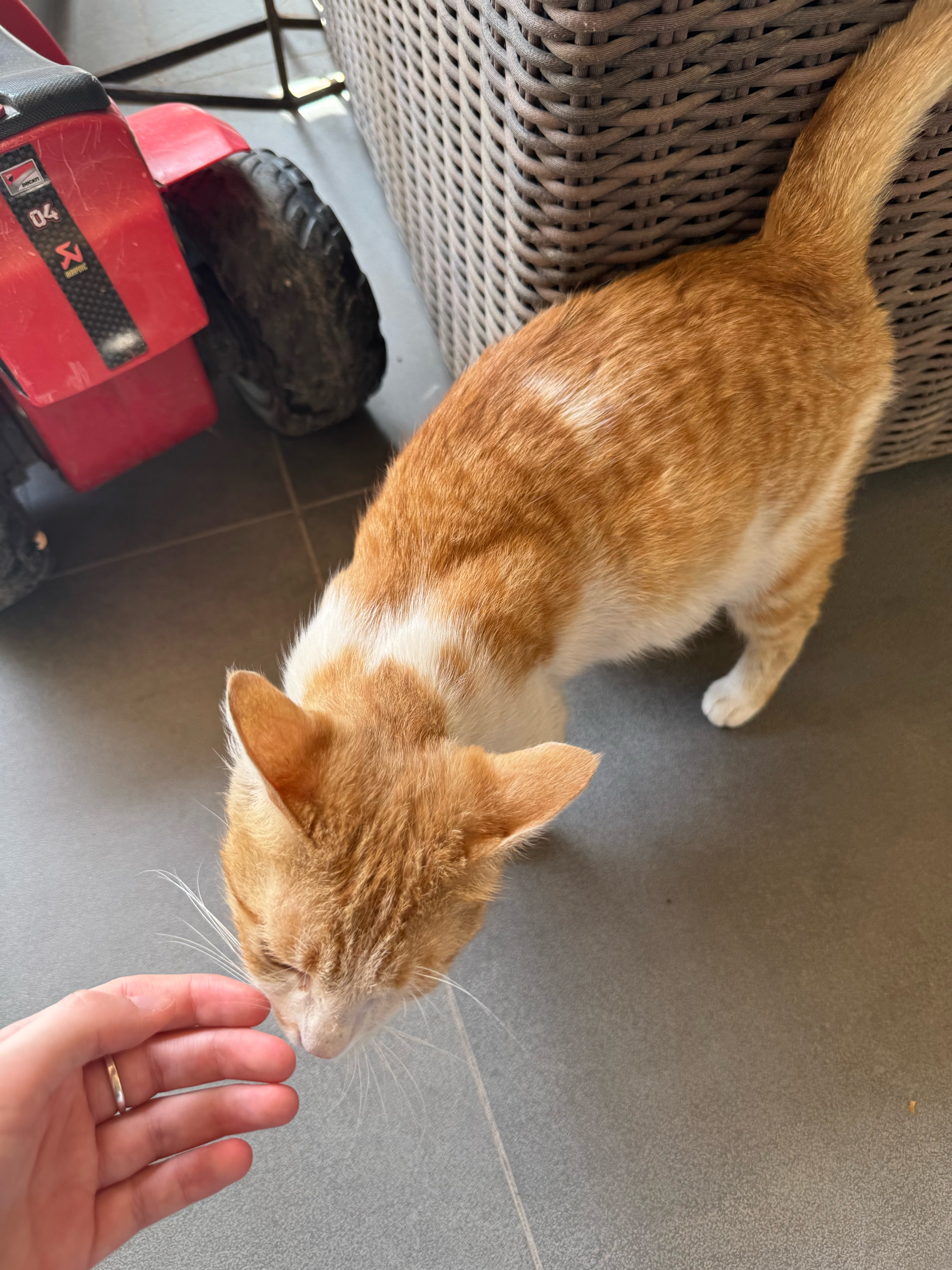 Фото Igmar Apart Hotel