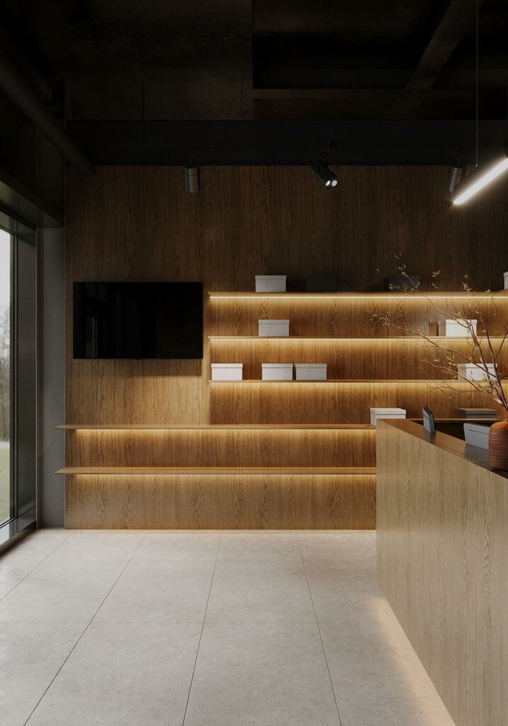 Auto light Ràyot, Mytischi, photo