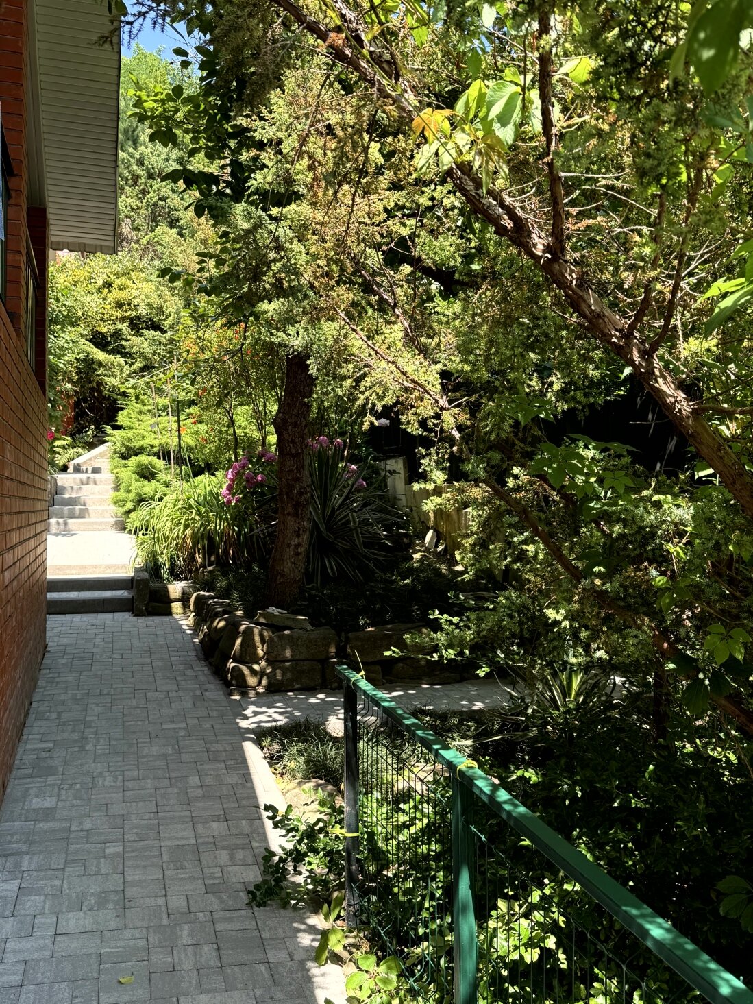 Фото Золотая рыбка