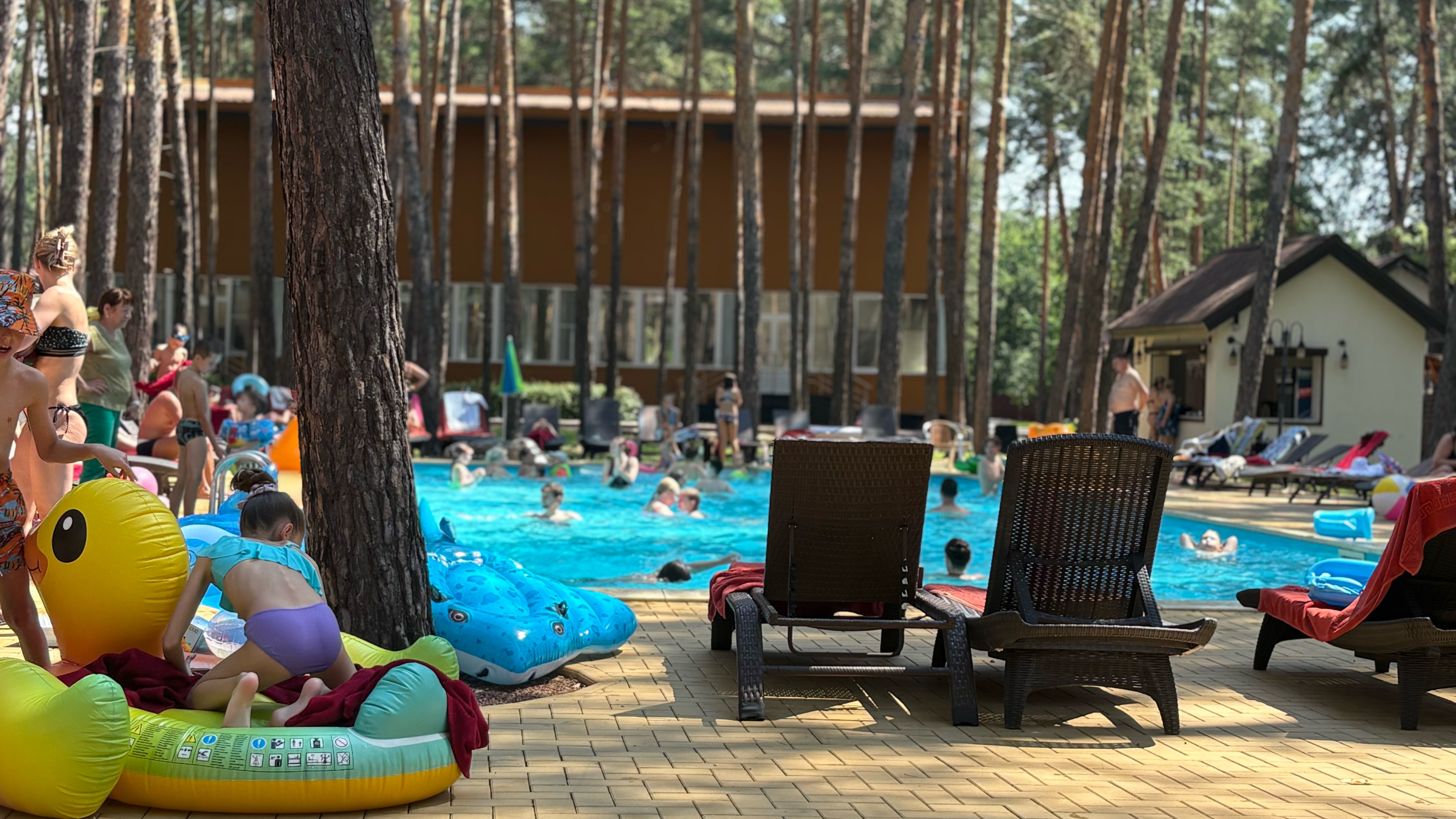 Фото ФорРест