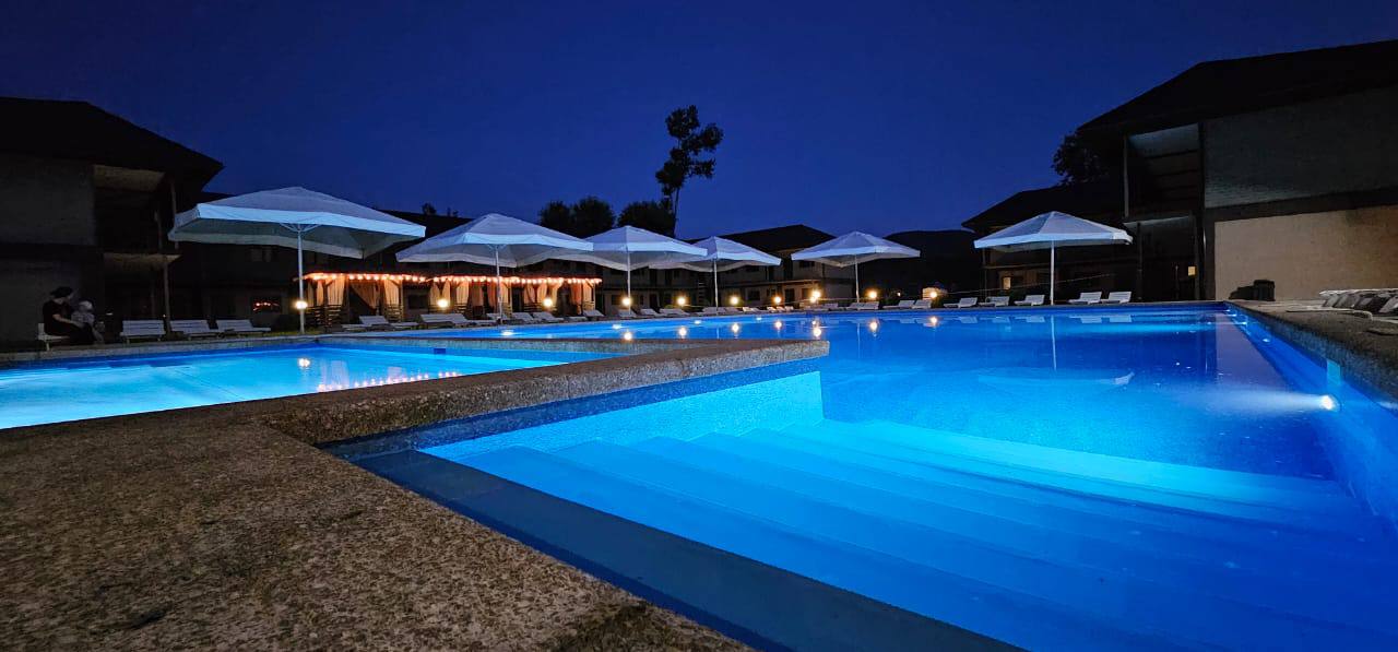 Фото Кипарис