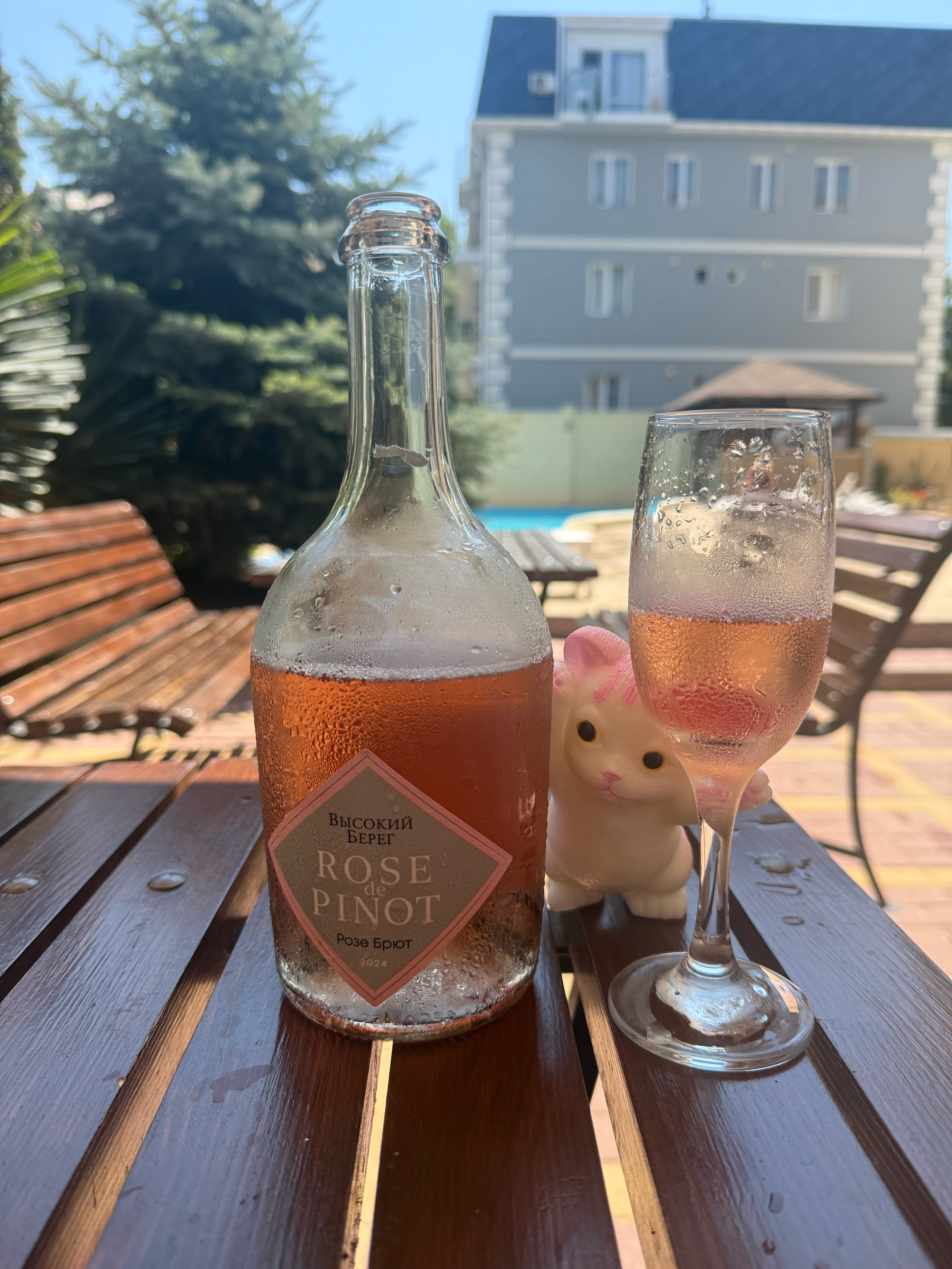 Фото Аврора