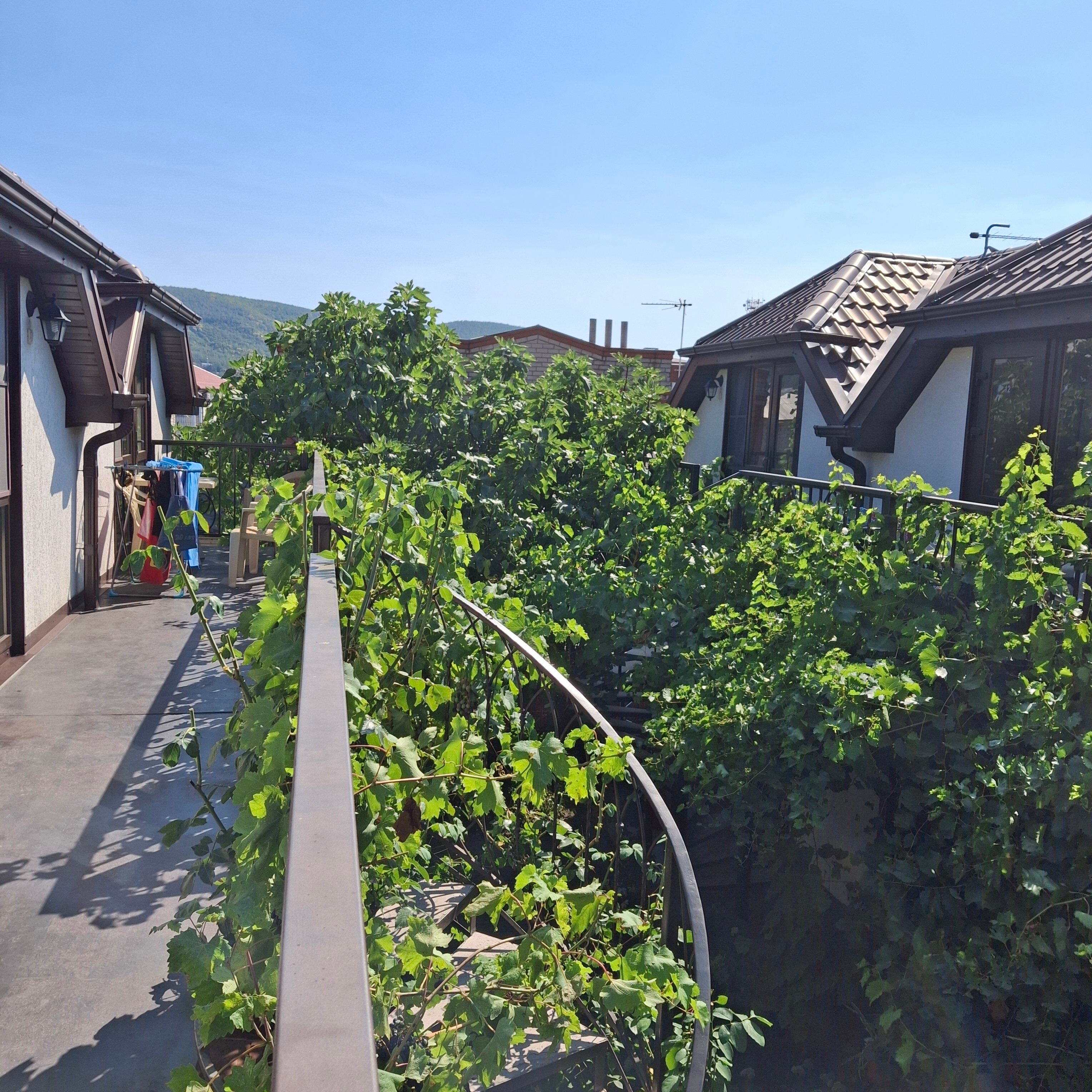 Фото Садорини