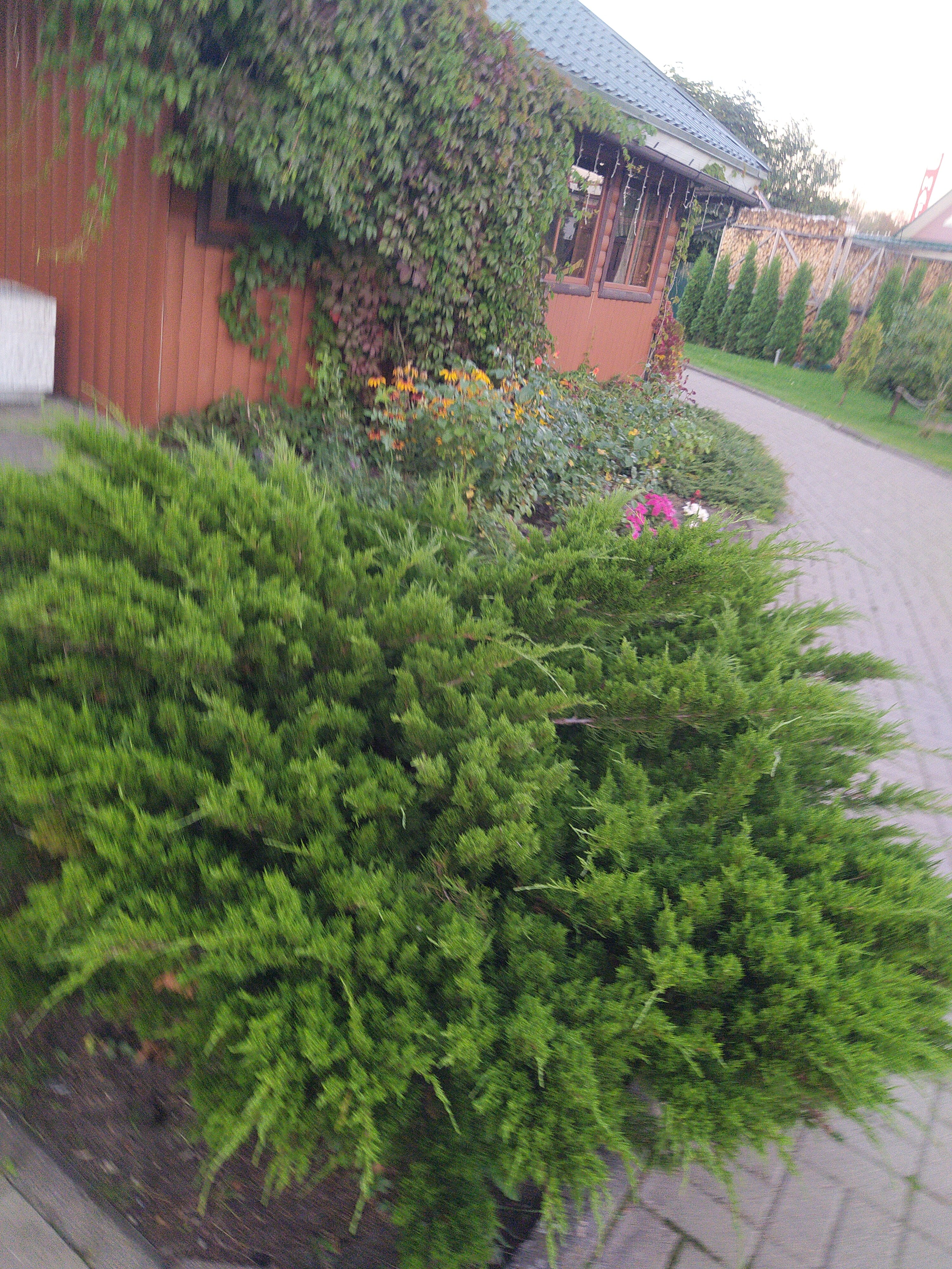 Фото Постоялый двор Ям