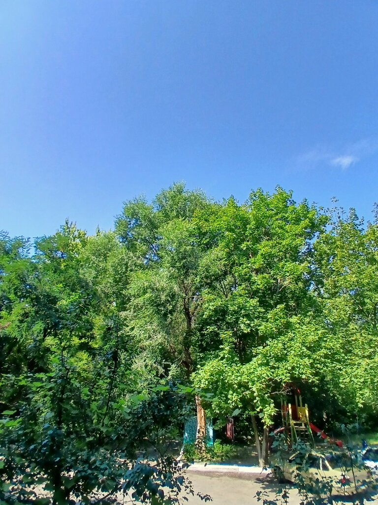 Playground Детская площадка, Voronezh, photo