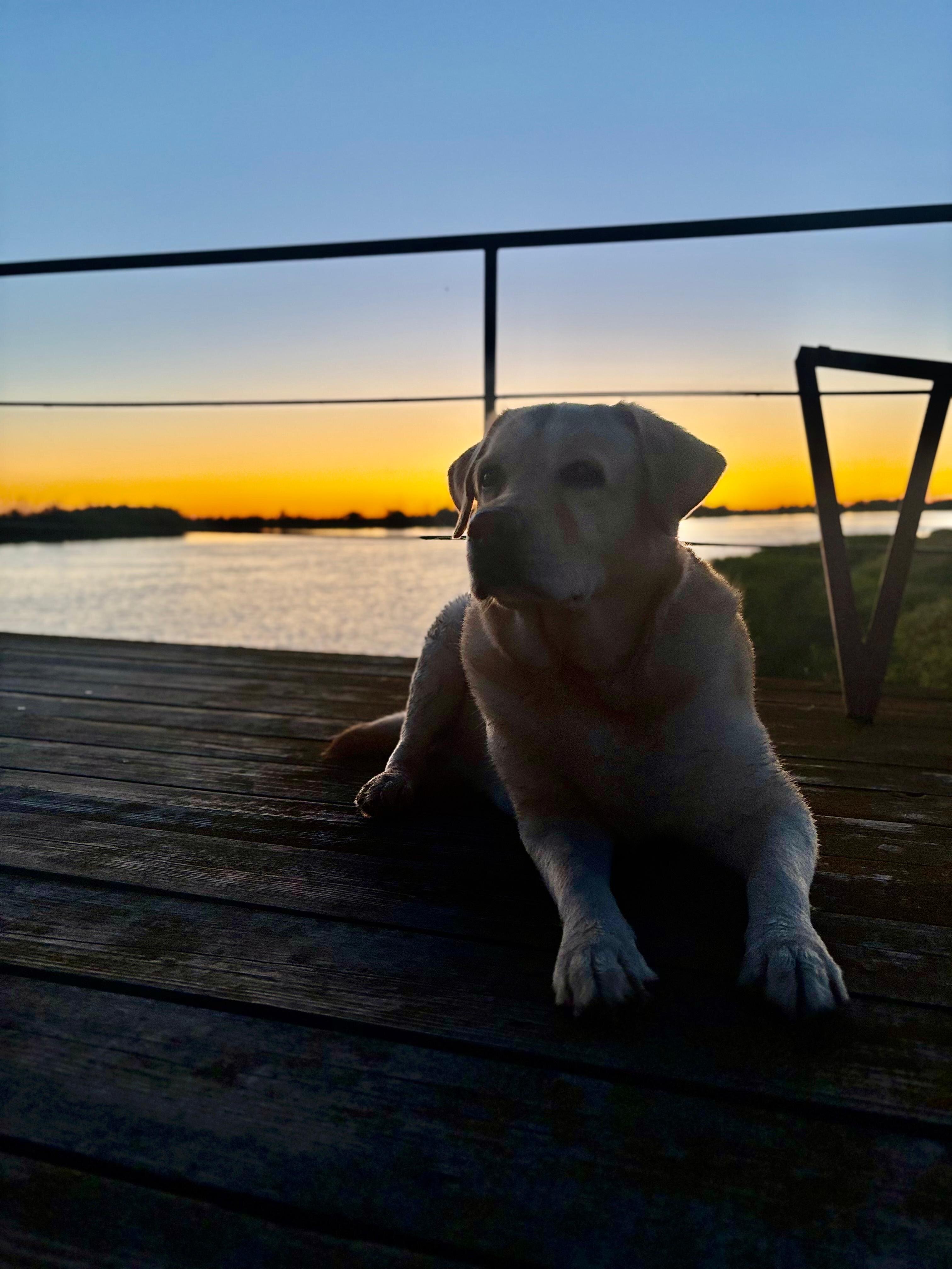 Фото Дом у реки