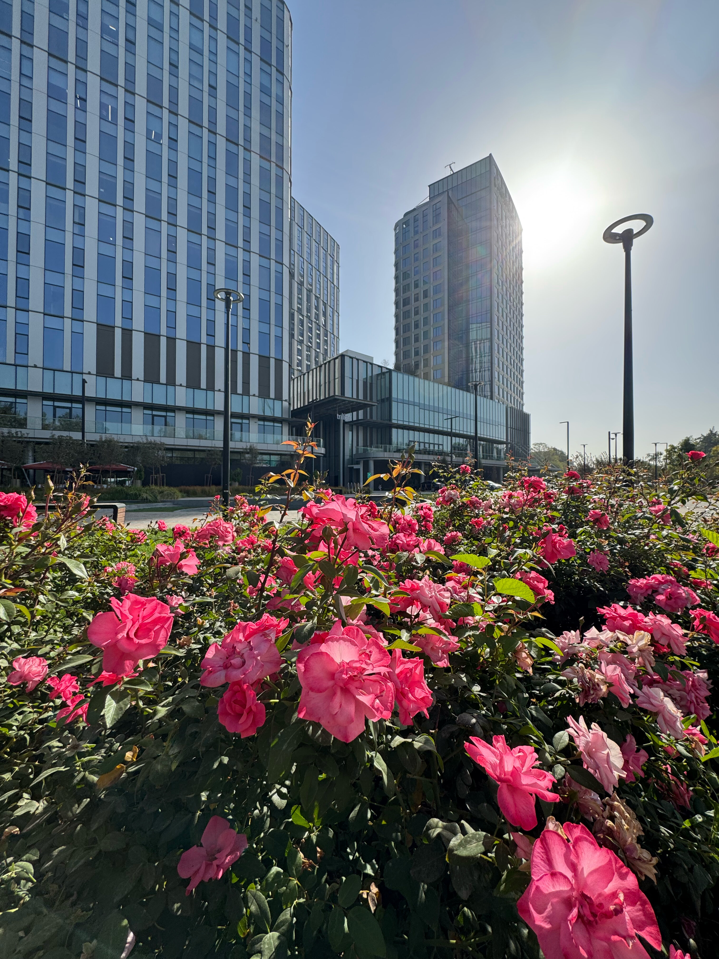 Фото InterContinental Tashkent
